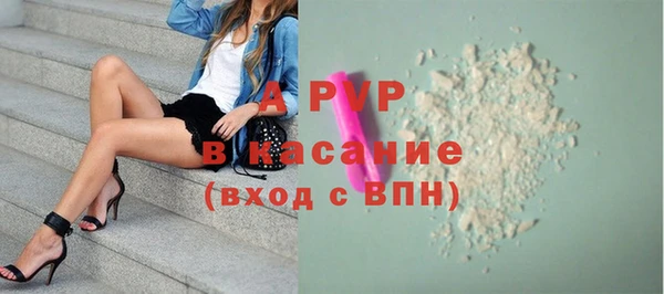 Альфа ПВП Гусев