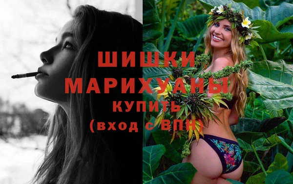 Альфа ПВП Гусев