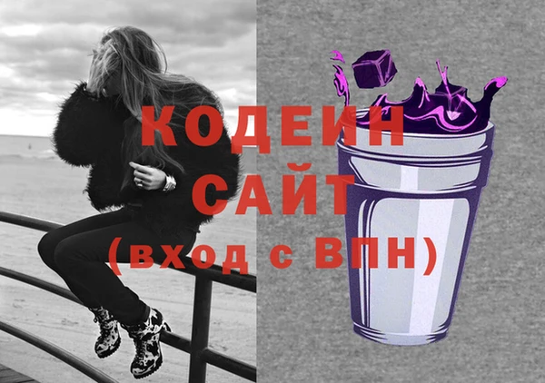 Альфа ПВП Гусев
