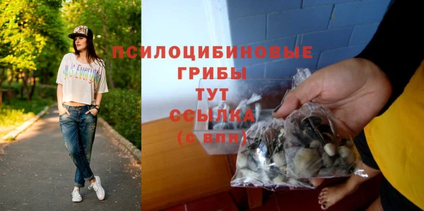 Альфа ПВП Гусев