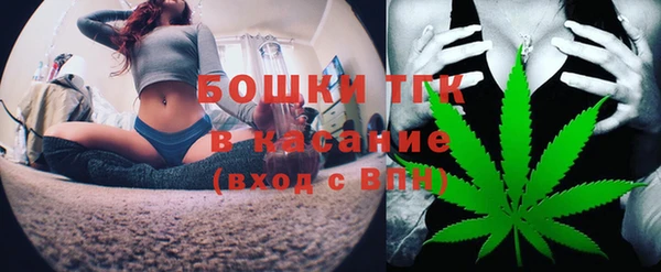 Альфа ПВП Гусев