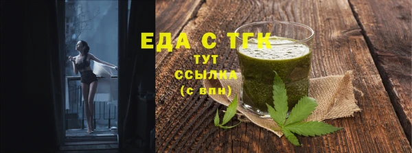 дживик Гусь-Хрустальный