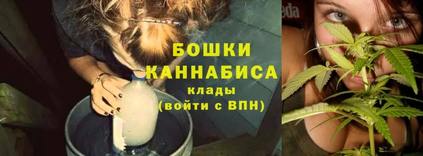 дживик Гусь-Хрустальный