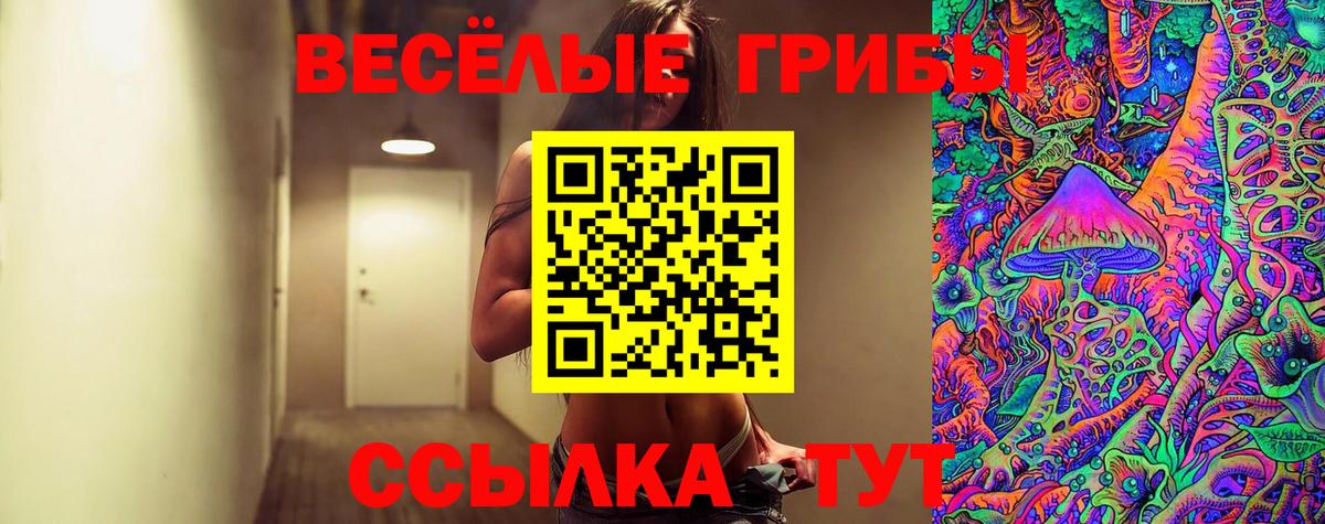 Златоуст  Галлюциногенные грибы Cubensis  Галлюциногенные грибы Psilocybine cubensis  Вход с VPN 